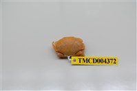 藏品(花紋愛潔蟹)的圖片